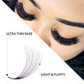 10D Promade Loose - 1000 Fans - LASH V