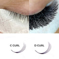 10D Promade Loose - 1000 Fans - LASH V