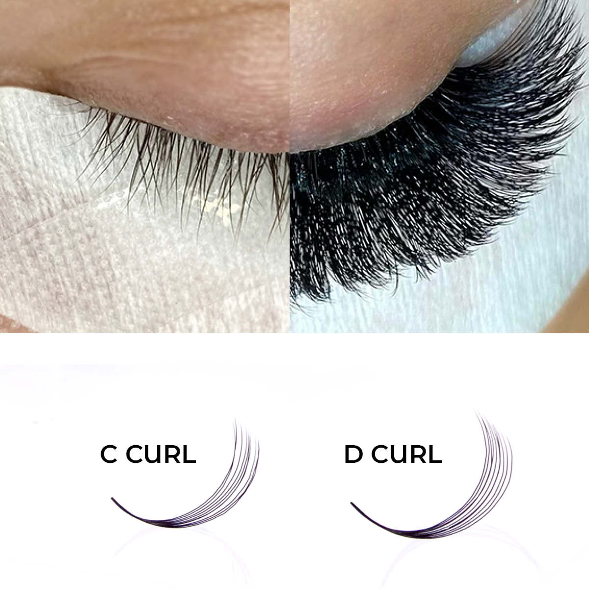 10D Promade Loose - 1000 Fans - LASH V