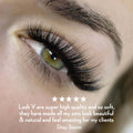 10D Promade Loose - 1000 Fans - LASH V
