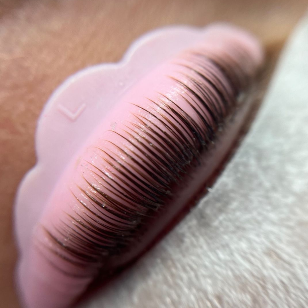 Lash Lift Shields - 5 Sizes (10x Pack) - LASH V