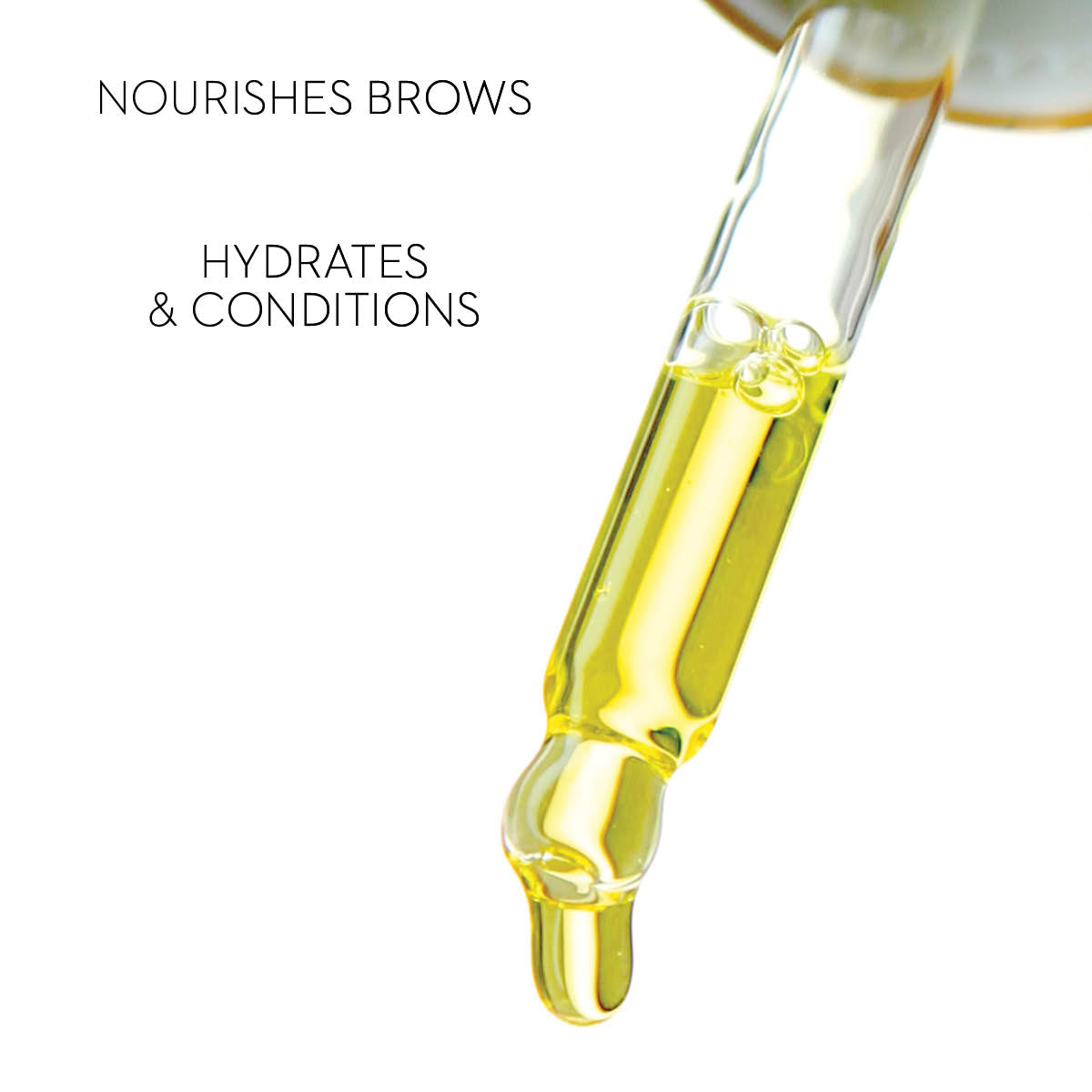 Eyebrow Nourishing Oil - 30ml New Bundles - LASH V