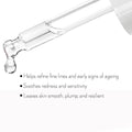 Beta Glucan Peptide Hydration Power Serum 30ml - LASH V
