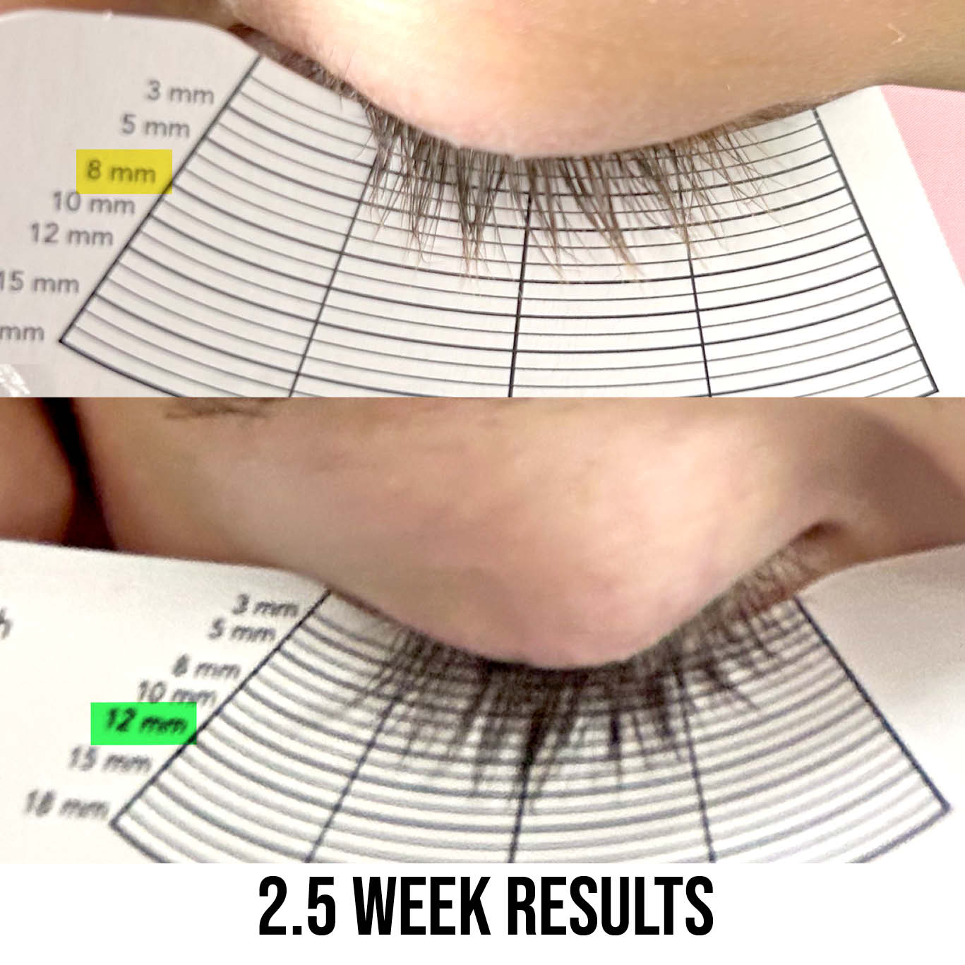Peptide + Eyelash Growth Serum - Natural Lash Enhancer - LASH V