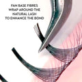 6D Promade Wrapping Base - 480 Fans - LASH V