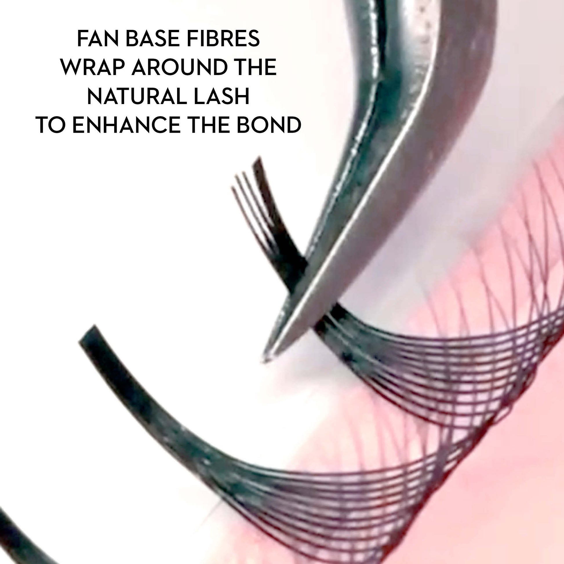 6D Promade Wrapping Base - 480 Fans - LASH V