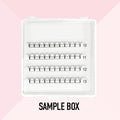 Sample Premade Volume Fans Ultra Dark Short Stem - up to 80 Fans - LASH V