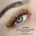 6D Short Stem Pro - Brown 400 Fans - LASH V