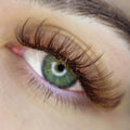 3D Short Stem Pro - Brown 800 Fans - LASH V