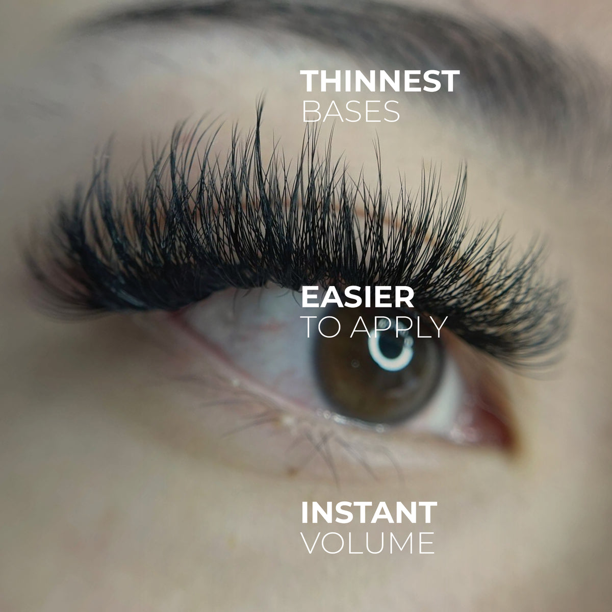 9D Promade Volume Fans Wispy Loose - 1000 Fans - LASH V