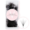 9D Promade Volume Fans Wispy Loose - 1000 Fans - LASH V