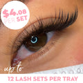 9D Promade Volume Fans Wispy Loose - 1000 Fans - LASH V