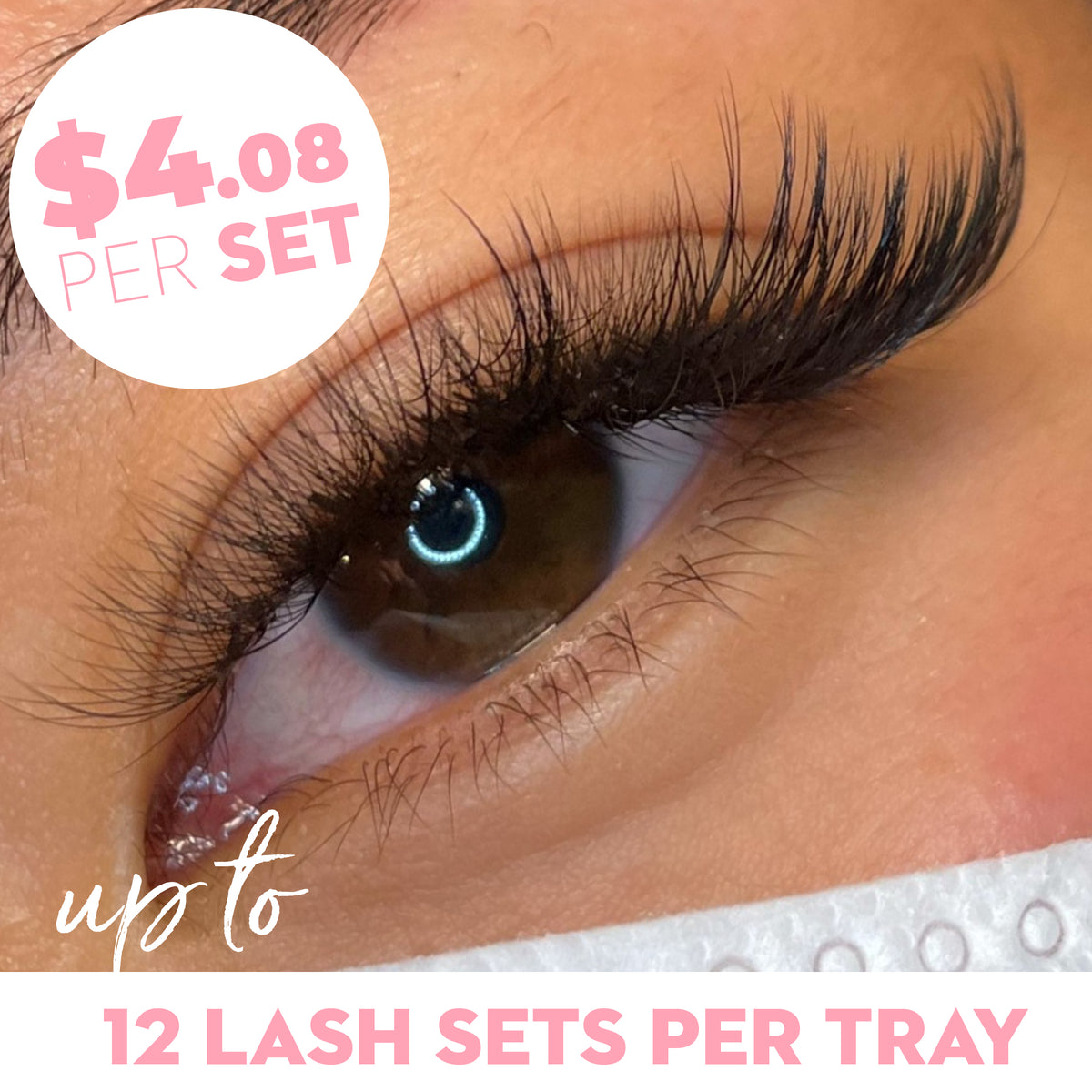 9D Promade Volume Fans Wispy Loose - 1000 Fans - LASH V