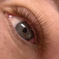 3D Pro-Point Ultimate Brown - 640 Fans - LASH V