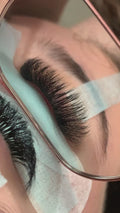 10D Promade Loose - 500 Mix Fans - LASH V
