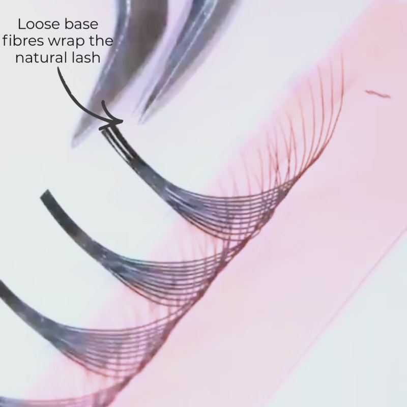 10D Promade Wrapping Base - 480 Fans - LASH V