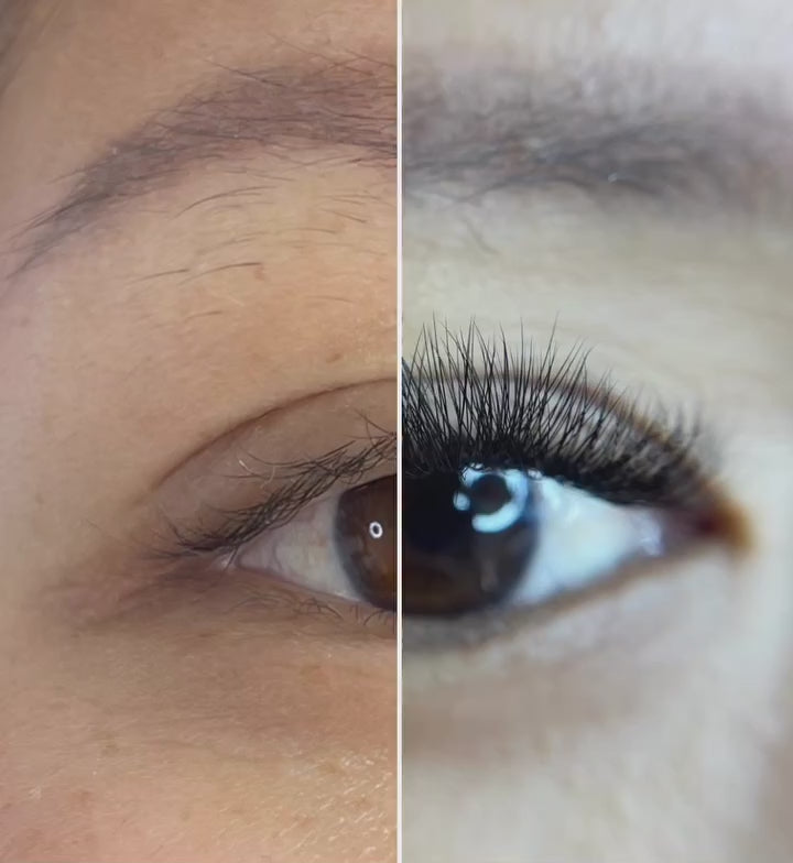 3D Promade Loose - 500 Mix Fans - LASH V