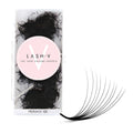 10D Promade Loose - 1000 Fans - LASH V