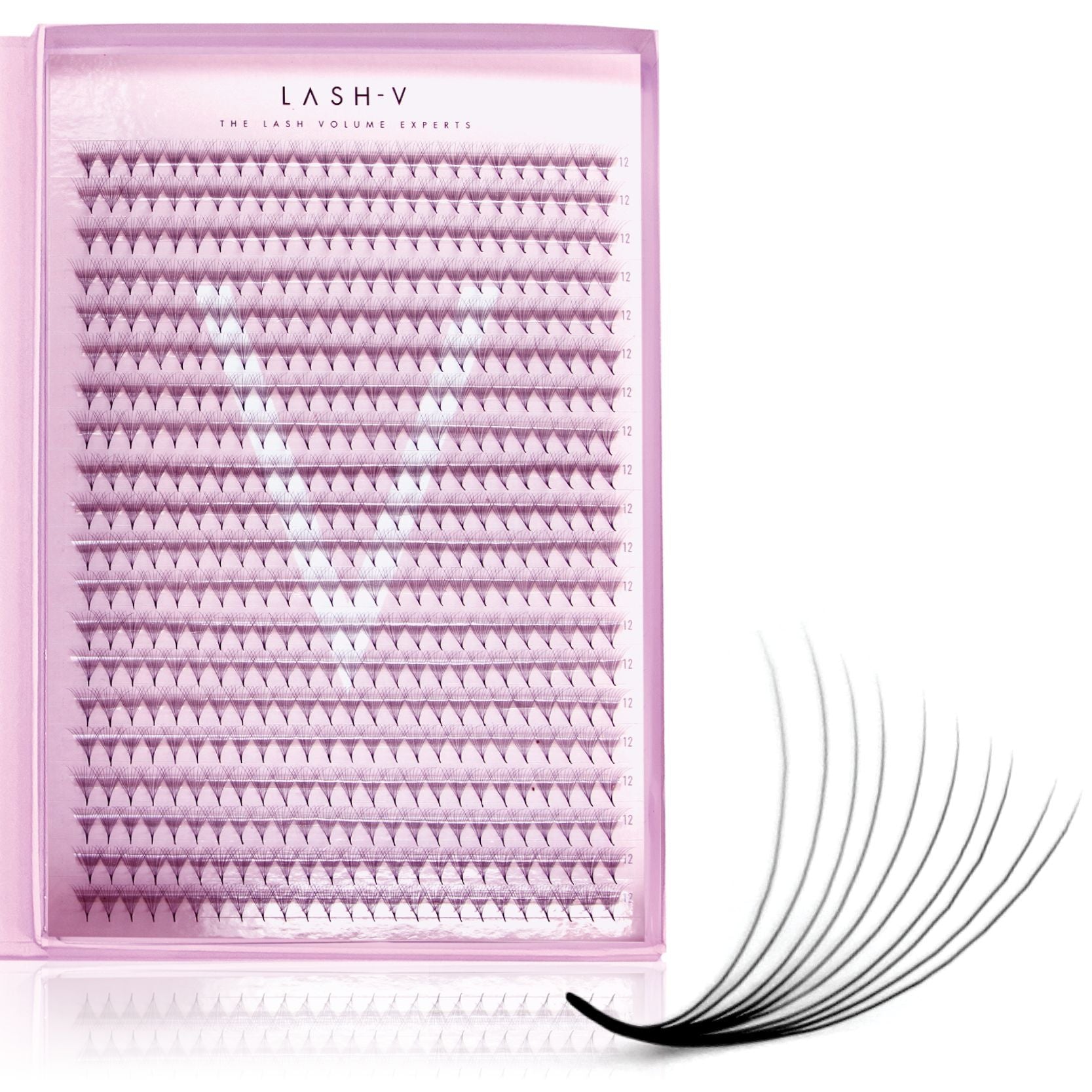 10D Promade XXL Tray - 500 Fans - LASH V