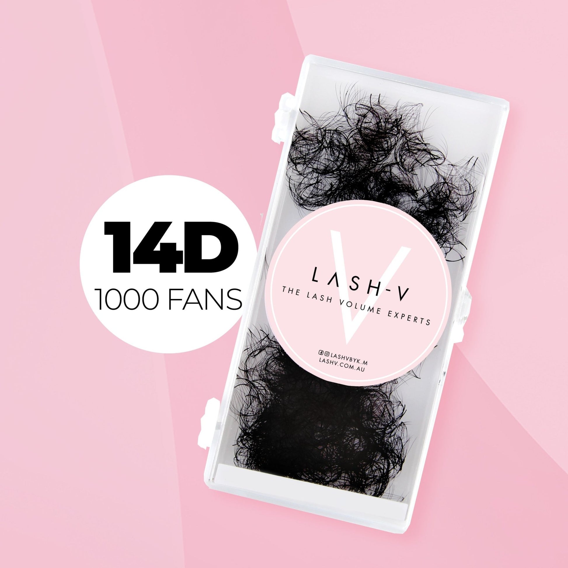 14D PROMADE LOOSE - 1000 FANS - LASH V