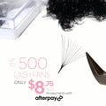 14D Promade Loose - 500 Mix Fans - LASH V