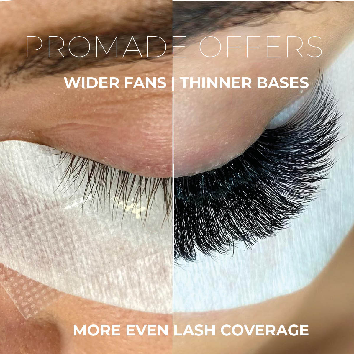 3D Promade Loose - 1000 Mix Fans - LASH V