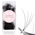 4D Promade Loose - 1000 Fans - LASH V