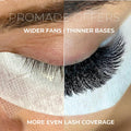 4D Promade Loose - 1000 Fans - LASH V