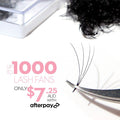 4D Promade Loose - 1000 Fans - LASH V