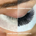 4D Promade Loose - 500 Mix Fans - LASH V