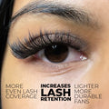 5D Promade Ultra-speed - 500 Fans - LASH V