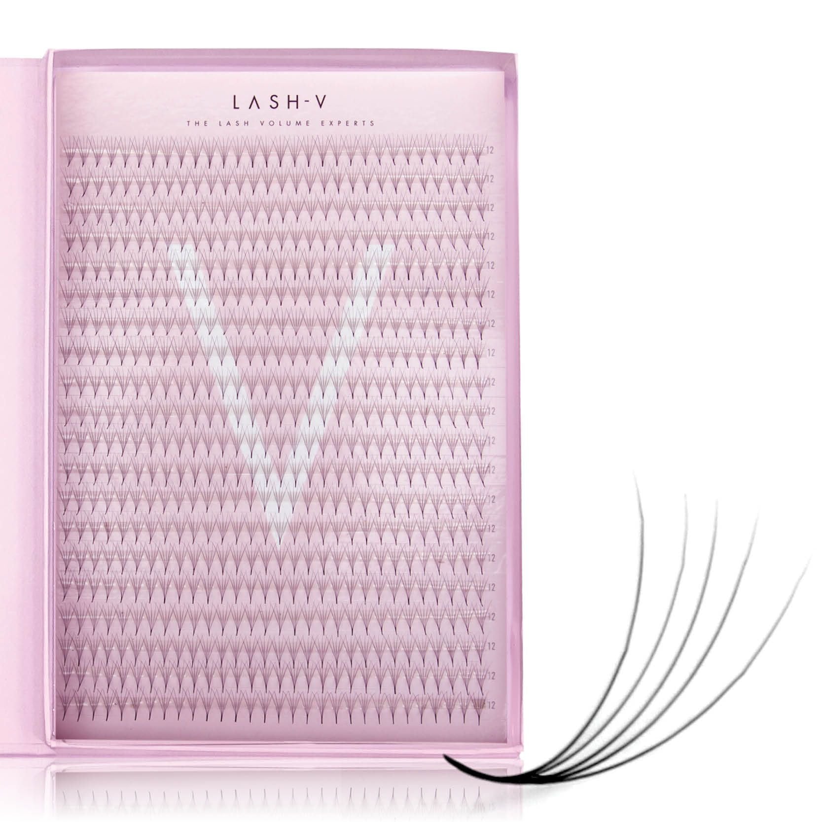 5D Promade XXL Tray - 600 Fans - LASH V