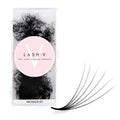 6D Promade Loose - 1000 Fans - LASH V