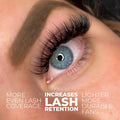 6D Promade Ultra-speed - 500 Fans - LASH V