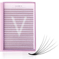 6D Promade Xxl Tray - 600 Fans - LASH V