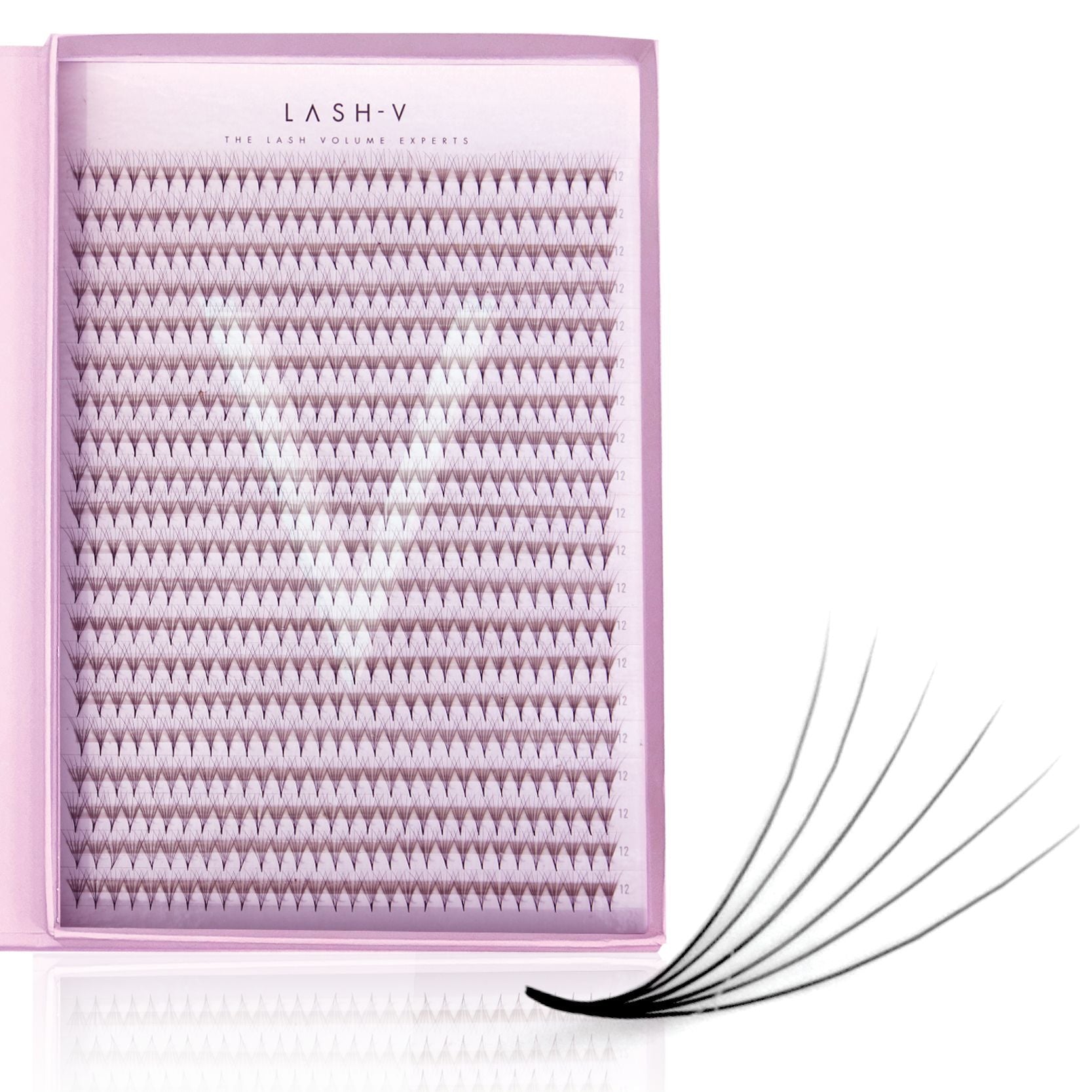 6D Promade Xxl Tray - 600 Fans - LASH V