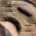 Evolution Super Fast Eyelash Adhesive - 2 Pack - LASH V