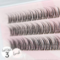 Miss Wispy Cluster Lashes - No Glue - 30 Clusters . - LASH V